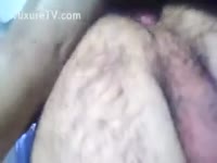 Hairy guy receives humped by furry beast
